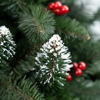 Umjetni Bor Iza Cranberry Pine 4