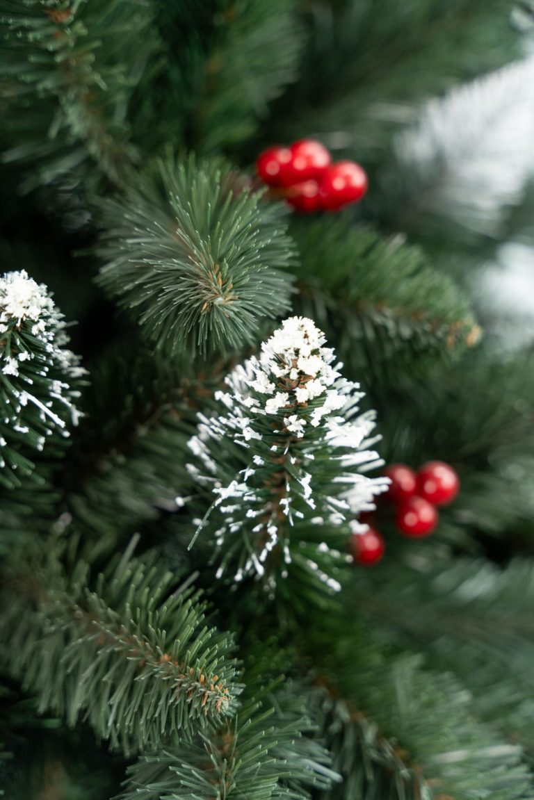 Umjetni Bor Iza Cranberry Pine 4