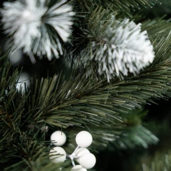 Umjetni Bor Iza White Pine 1