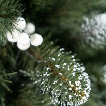 Umjetni Bor Iza White Pine 2