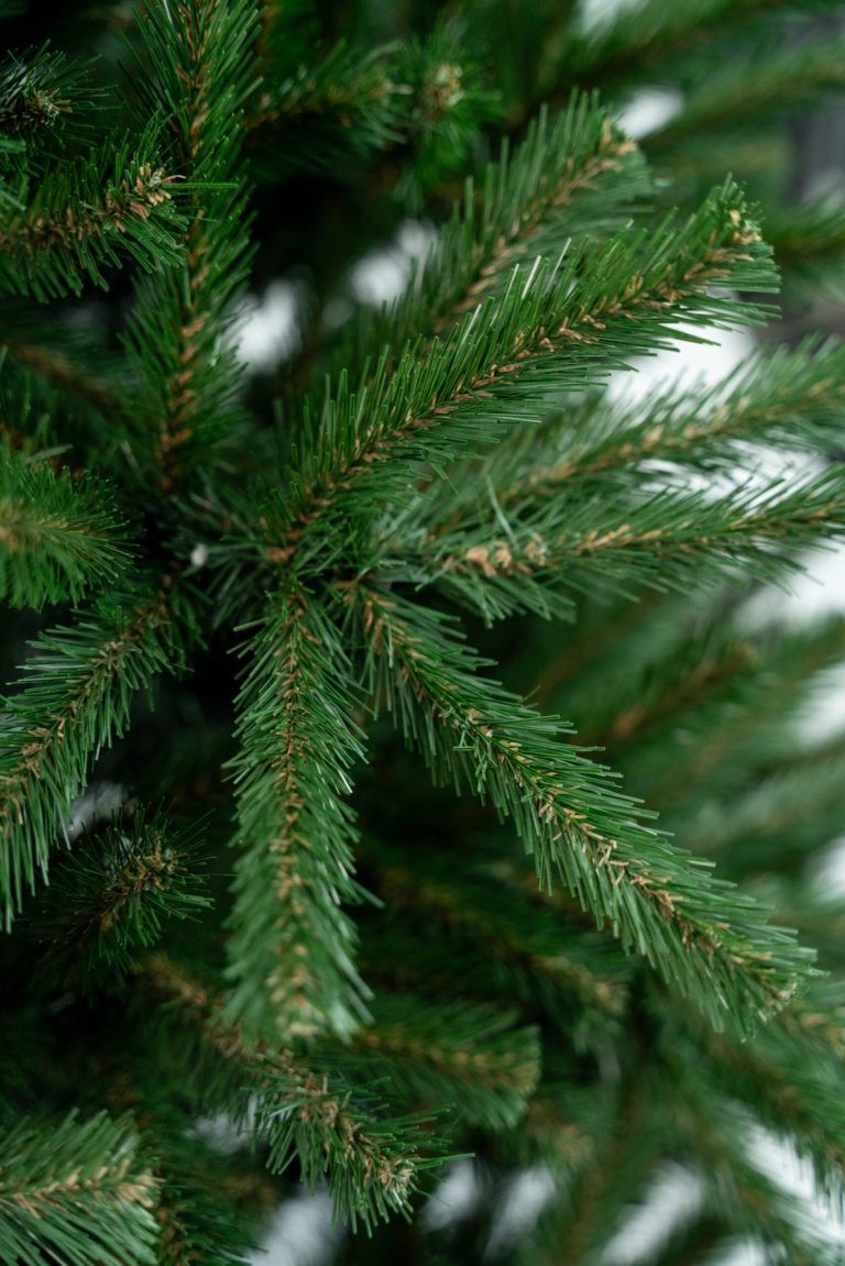 Umjetni Bor Smreka Natur 1
