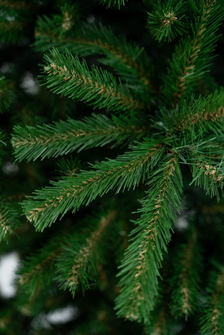 Umjetni Bor Smreka Natur 3