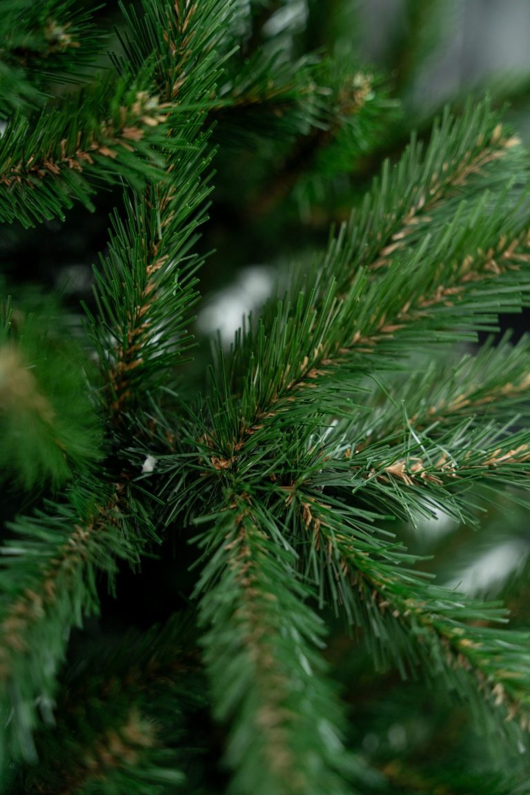 Umjetni Bor Smreka Natur 4