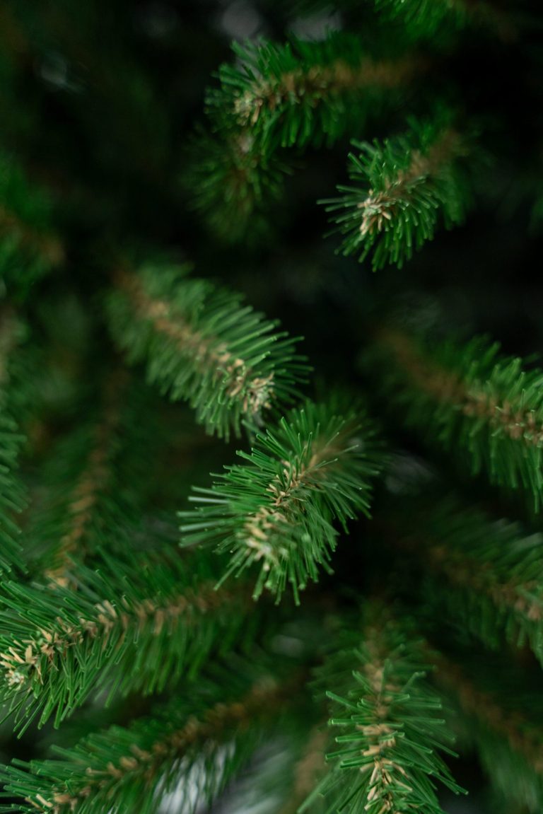 Umjetni Bor Smreka Natur 5