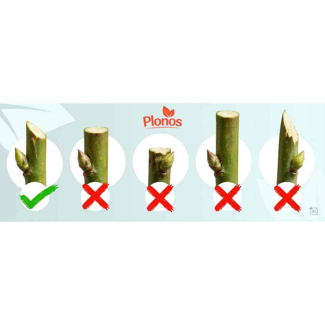 Akumulatorske škare za grane Plonos PL-644 rozi_15